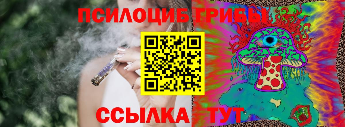 как найти наркотики  Галлюциногенные грибы Magic Shrooms  Вход с VPN  Псилоцибиновые грибы Psilocybe  Иваново 
